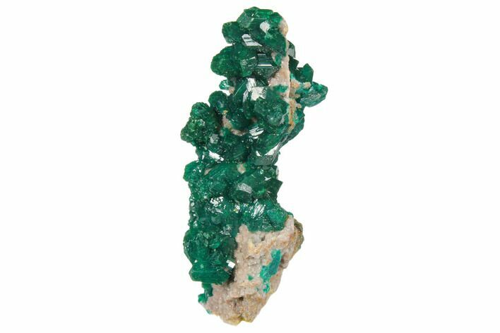 Gemmy Dioptase Cluster on Dolomite - Ntola Mine, Congo #130498